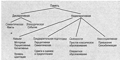 Когнитивная психология