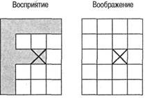 Когнитивная психология