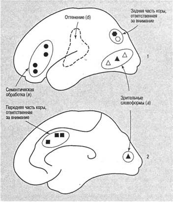 Когнитивная психология