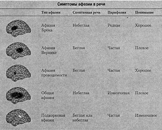 Когнитивная психология