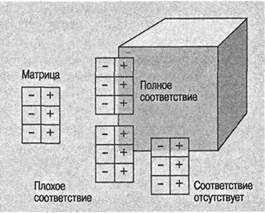 Когнитивная психология