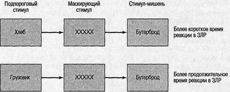 Когнитивная психология