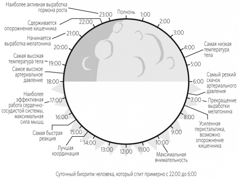 Здоровый сон. 21 шаг на пути к хорошему самочувствию