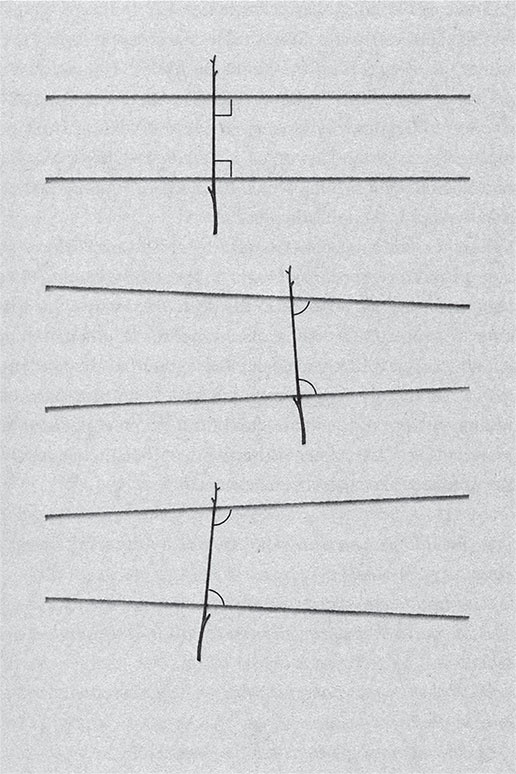 Евклидово окно. История геометрии от параллельных прямых до гиперпространства