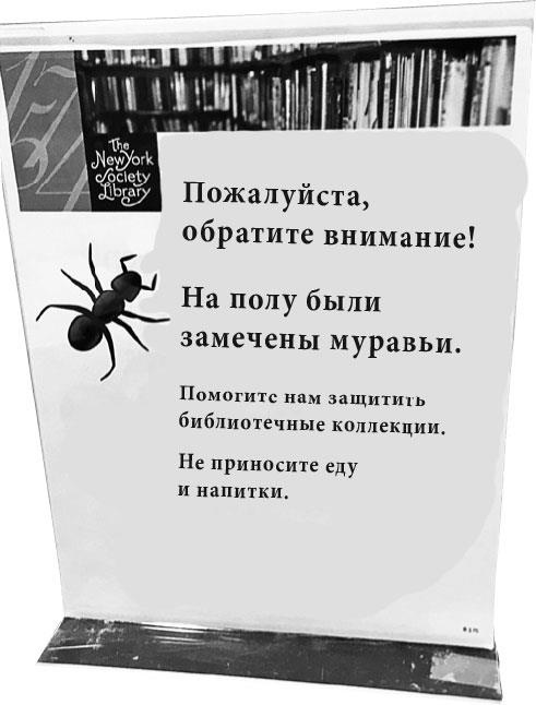 Сильные слабости. Как превратить свои минусы в плюсы и стать счастливой