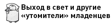 Первые 12 месяцев в роли мамы. О самом важном