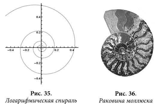 Квантовая биомеханика тела. Методика оздоровления опорно-двигательного аппарата человека. Часть 1