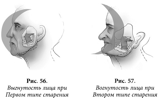 Квантовая биомеханика тела. Методика оздоровления опорно-двигательного аппарата человека. Часть 1