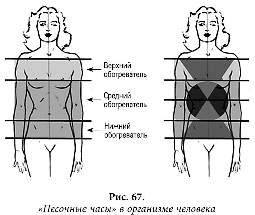 Квантовая биомеханика тела. Методика оздоровления опорно-двигательного аппарата человека. Часть 1