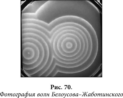 Квантовая биомеханика тела. Методика оздоровления опорно-двигательного аппарата человека. Часть 1