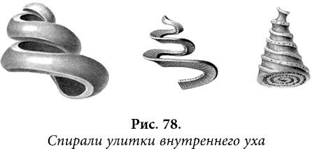 Квантовая биомеханика тела. Методика оздоровления опорно-двигательного аппарата человека. Часть 1