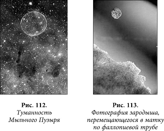 Квантовая биомеханика тела. Методика оздоровления опорно-двигательного аппарата человека. Часть 1