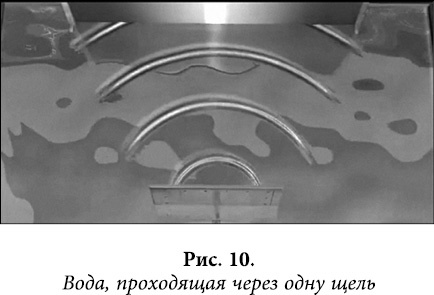 Квантовая биомеханика тела. Методика оздоровления опорно-двигательного аппарата. Часть 2