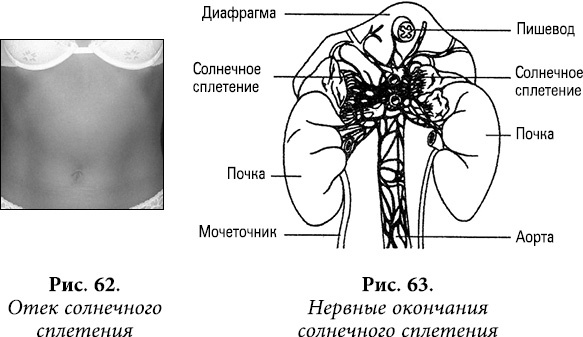 Квантовая биомеханика тела. Методика оздоровления опорно-двигательного аппарата. Часть 2