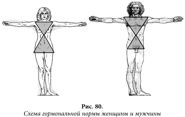 Квантовая биомеханика тела. Методика оздоровления опорно-двигательного аппарата. Часть 2