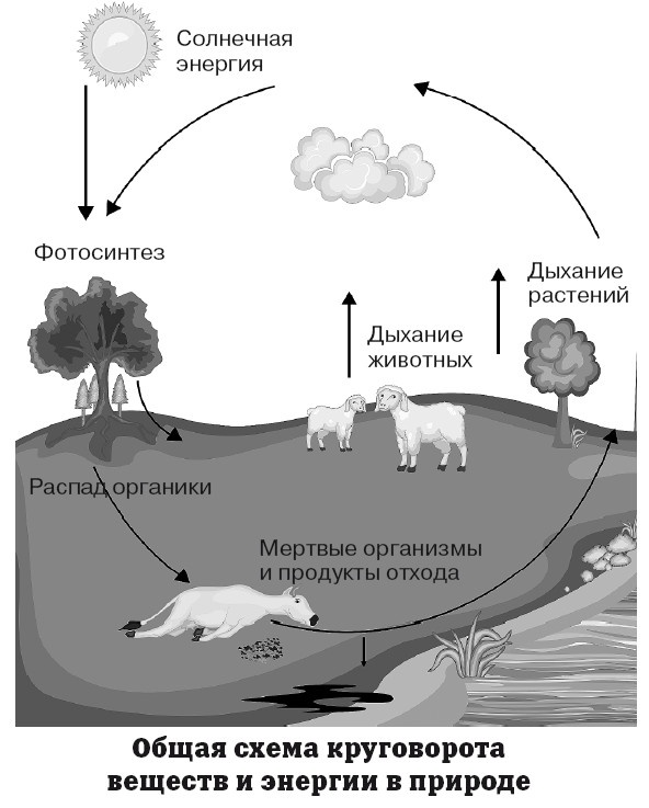 География на пальцах