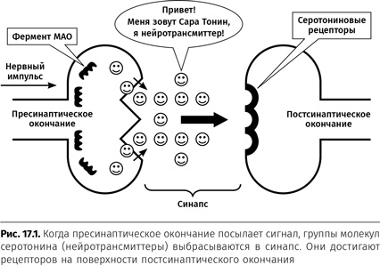 Терапия настроения. Клинически доказанный способ победить депрессию без таблеток