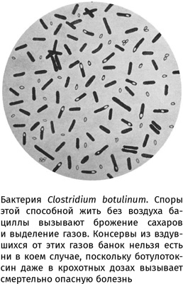 100 рассказов из истории медицины 