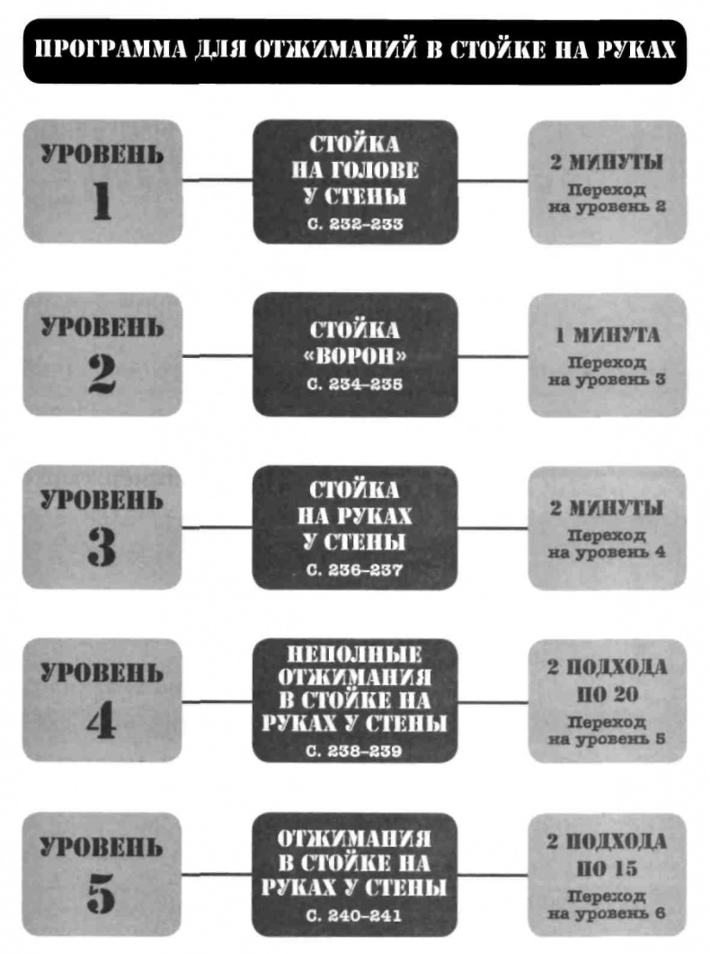 Тренировочная зона. Секретная система физических тренировок