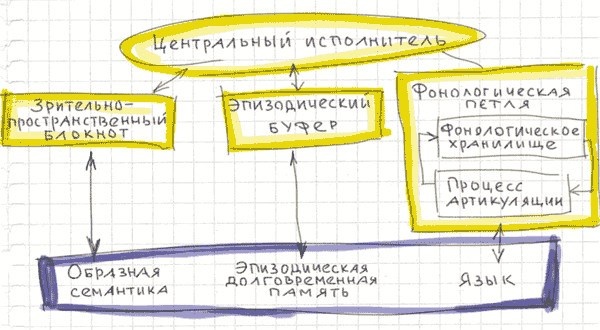 Тайм-менеджмент по помидору. Как концентрироваться на одном деле хотя бы 25 минут 