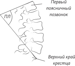 Невероятная случайность бытия. Эволюция и рождение человека