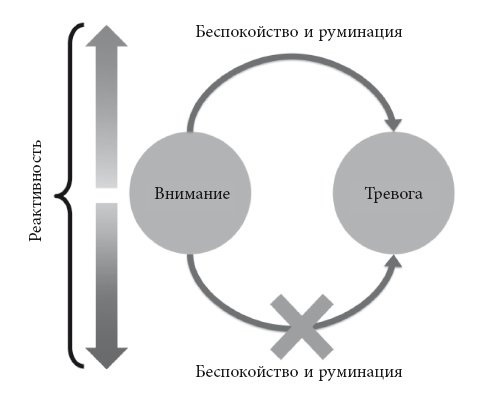 Не позволяйте тревоге рулить вашей жизнью. Наука управления эмоциями и осознанность для преодоления страха и беспокойства