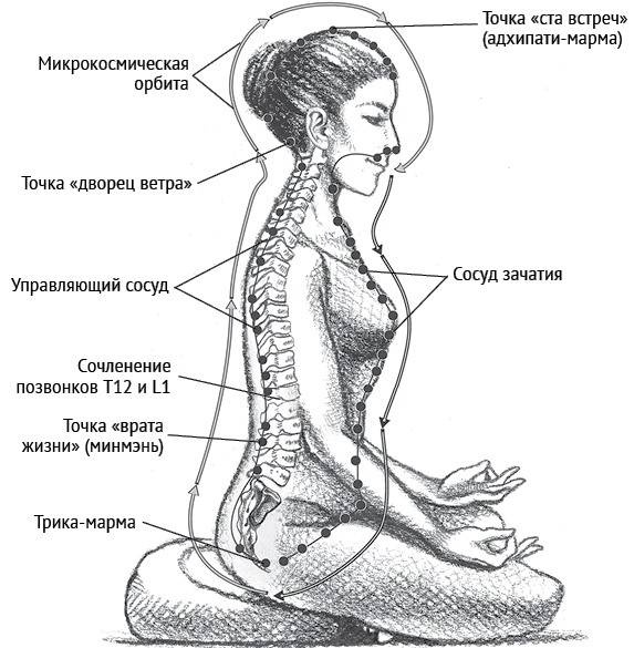 Йога тонкого тела. Руководство по физической и энергетической анатомии йоги