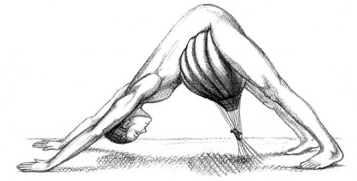 Йога тонкого тела. Руководство по физической и энергетической анатомии йоги