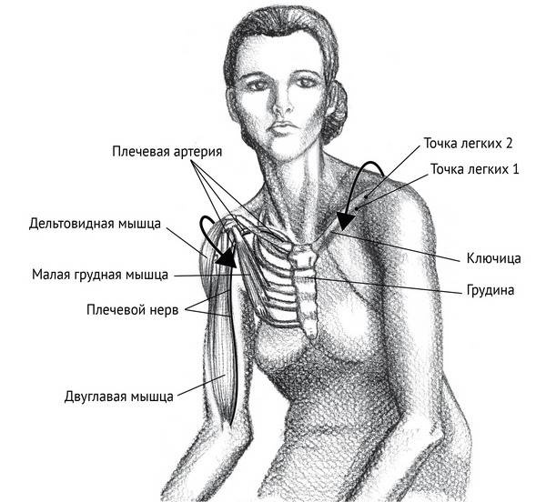 Йога тонкого тела. Руководство по физической и энергетической анатомии йоги