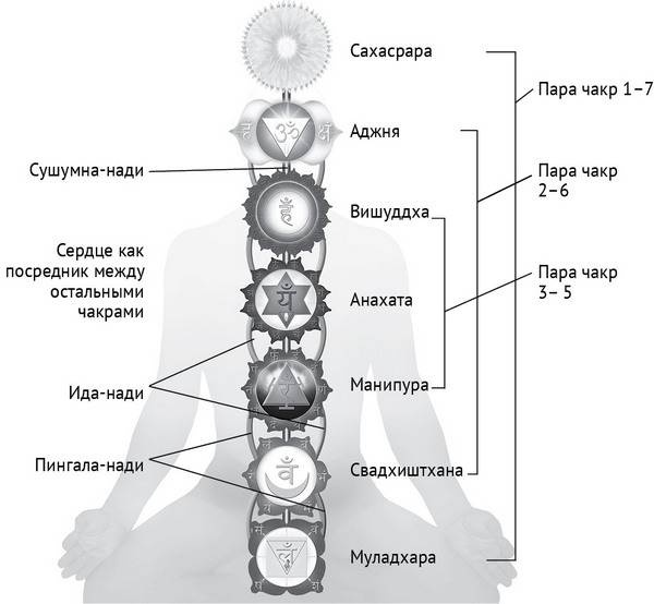 Йога тонкого тела. Руководство по физической и энергетической анатомии йоги