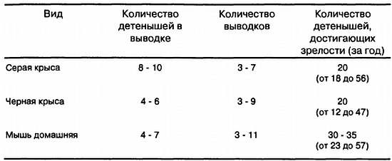 Хитрее человека. Исчерпывающая история крысы и человеческая  цивилизация