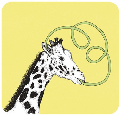 Может ли жираф облизать свои уши?