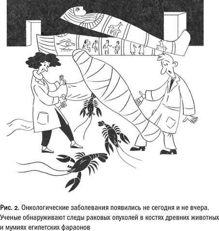 Кривое зеркало жизни. Главные мифы о раке, и что современная наука думает о них