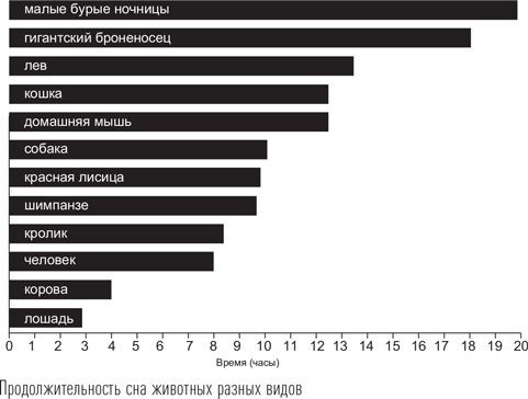 Загадки сна