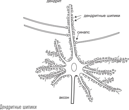 Загадки сна