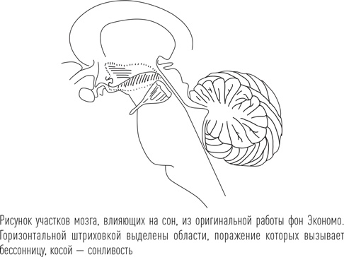 Загадки сна