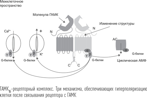 Загадки сна