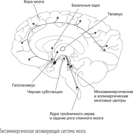 Загадки сна