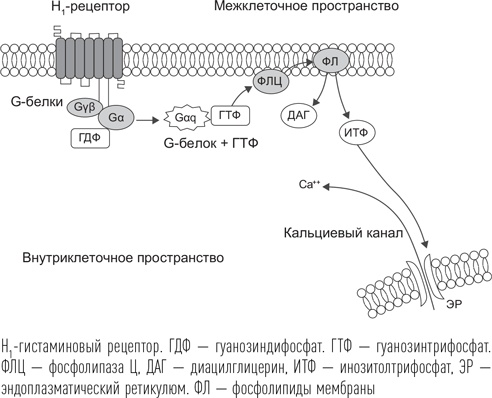 Загадки сна