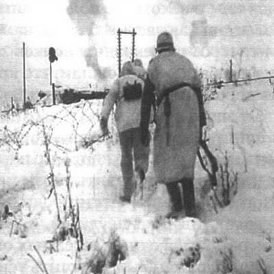 Битва в тупике. Погостье. 1941-1942