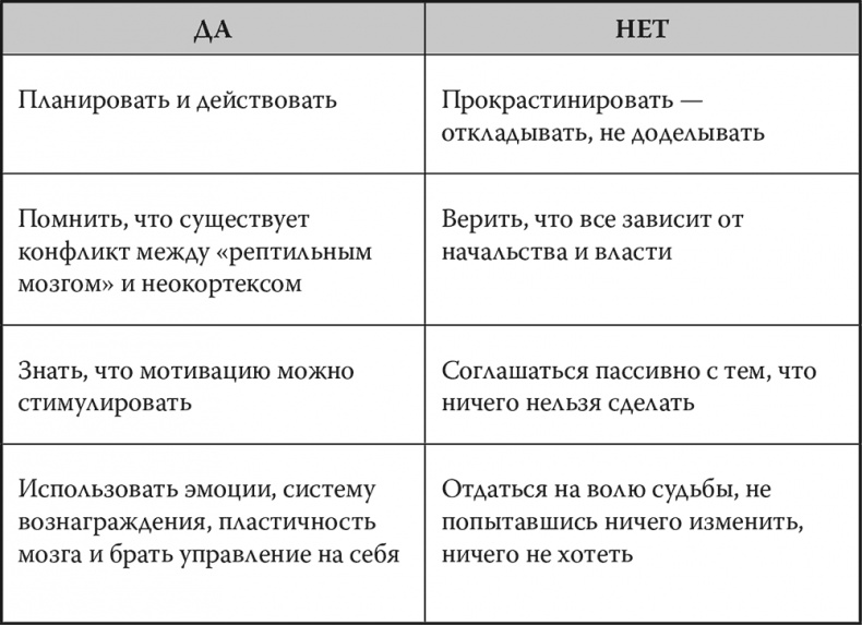 Мозг. Инструкция пользователя