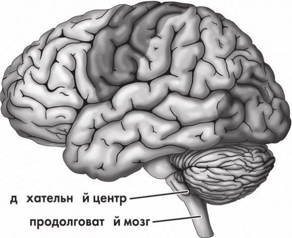 Предрассудки о здоровье. Жить надо с умом и правильно