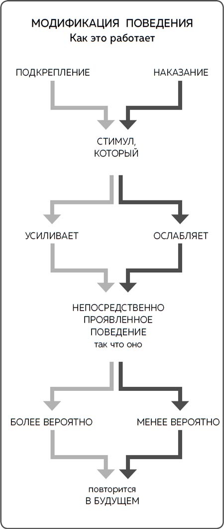 Дрессировка без наказания. Пять недель, которые сделают вашу собаку лучшей в мире