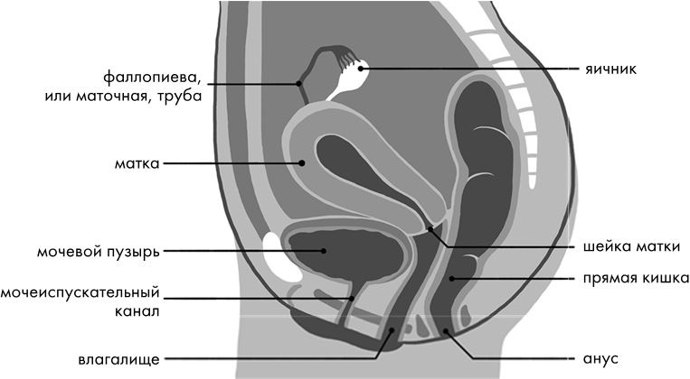 Розовая революция