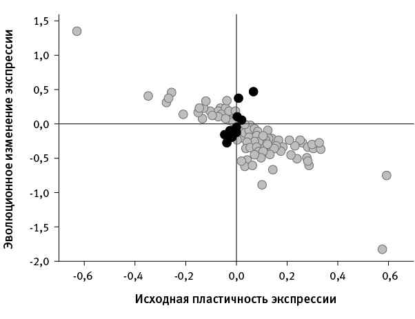 Перспективы отбора