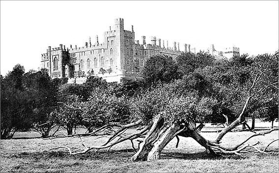 Великобритания. Страна замков, дворцов и парков 