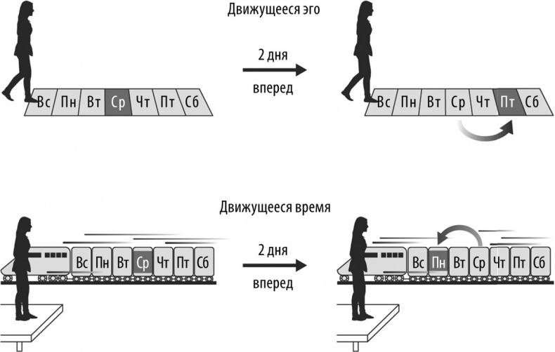 Мозг – повелитель времени