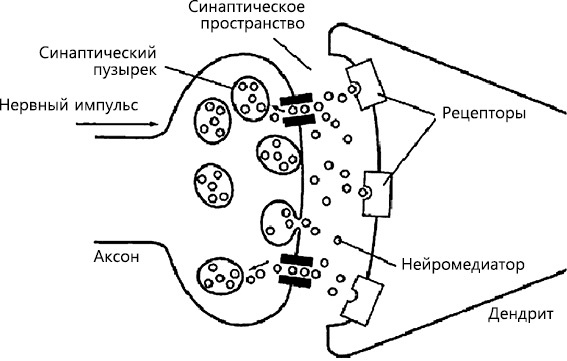 Перенастройте свой встревоженный мозг