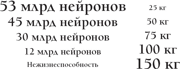 Мозг. Такой ли он особенный?