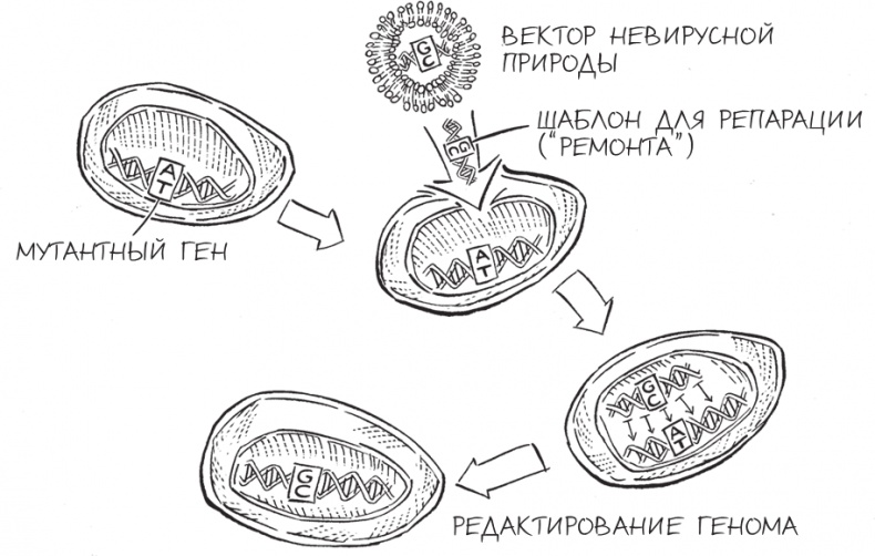 Трещина в мироздании